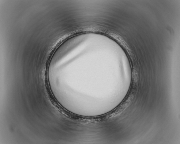 X0000113040434200909241438