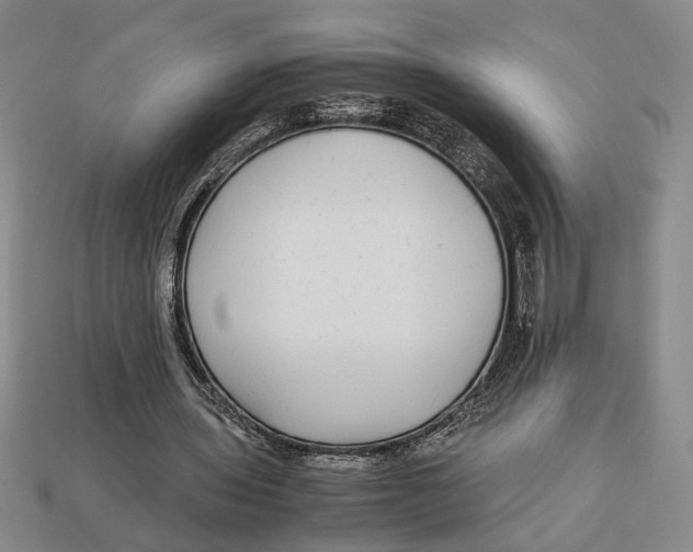 X0000113040435200909241438