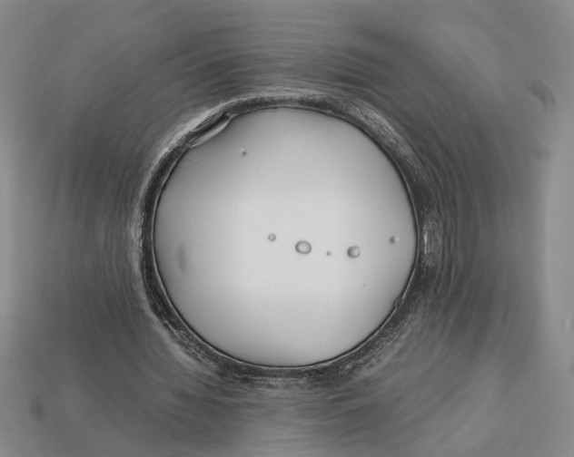 X0000113040436200909241438
