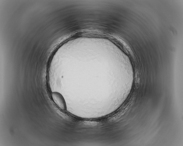 X0000113040437200909241438