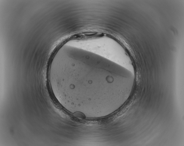 X0000113040438200909241438