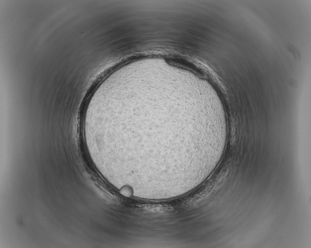 X0000113040439200909241438