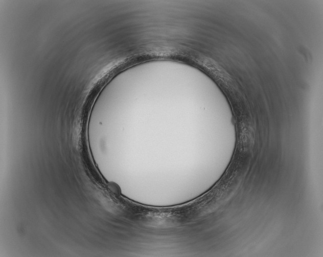 X0000113040440200909241438