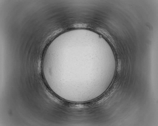 X0000113040441200909241438