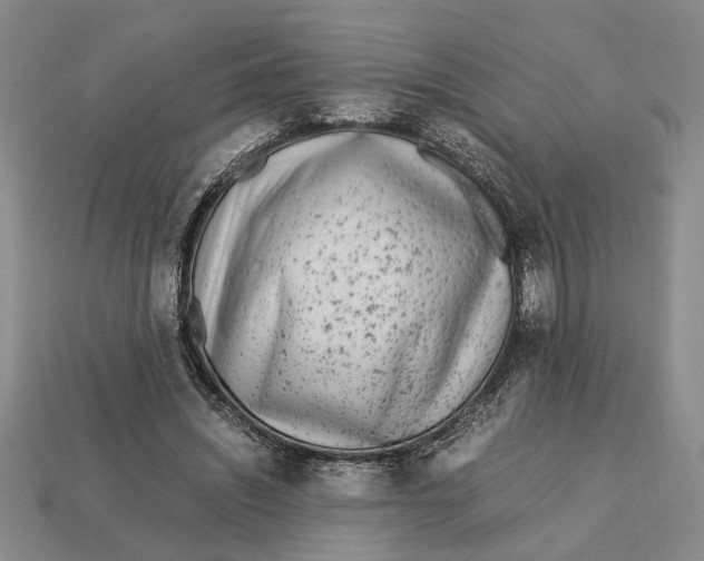 X0000113040444200909241438
