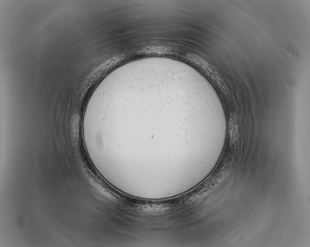X0000113040445200909241438