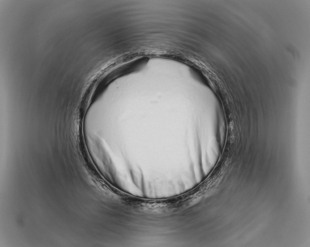 X0000113040446200909241438