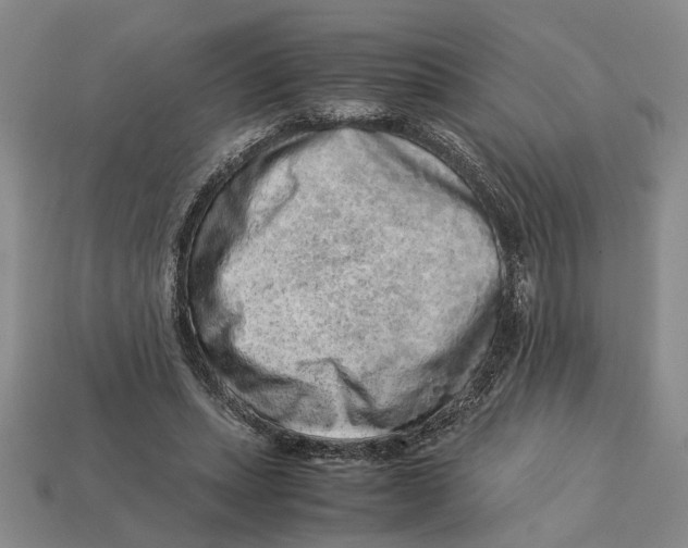 X0000113040447200909241438