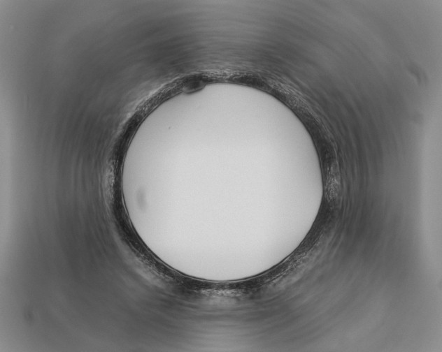 X0000113040448200909241438