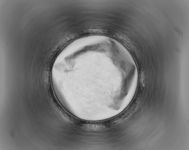 X0000113040449200909241438