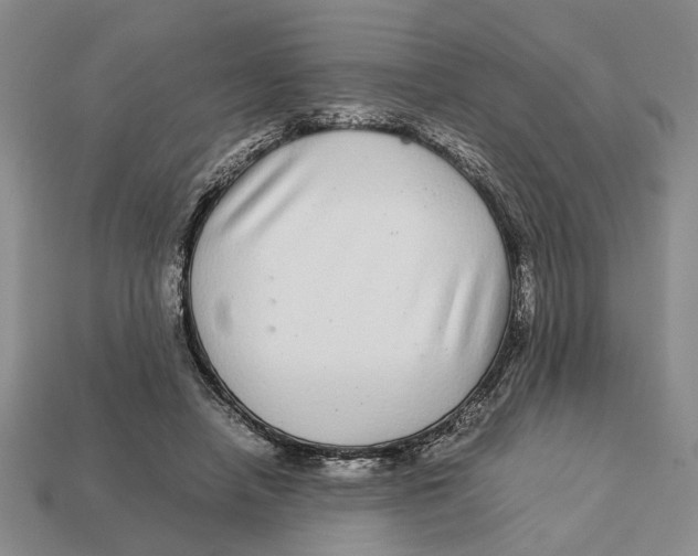 X0000113040450200909241438