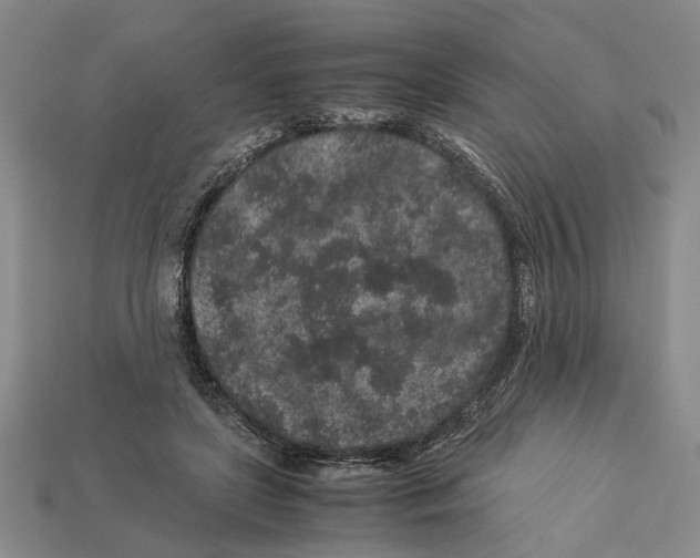 X0000113040451200909241438