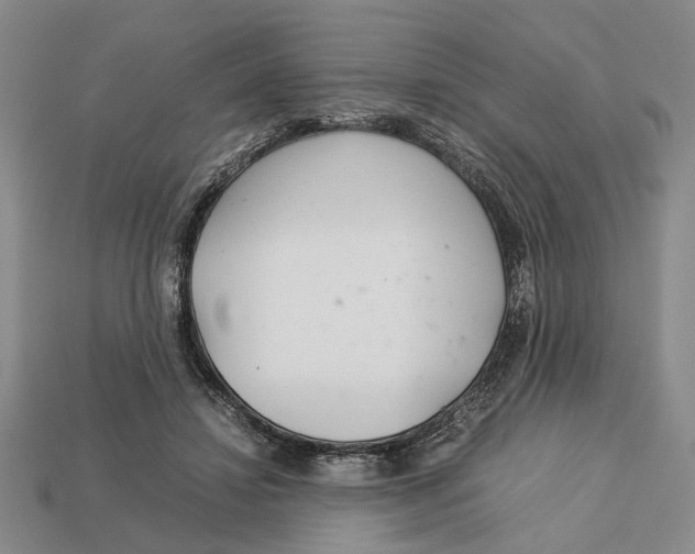 X0000113040452200909241438