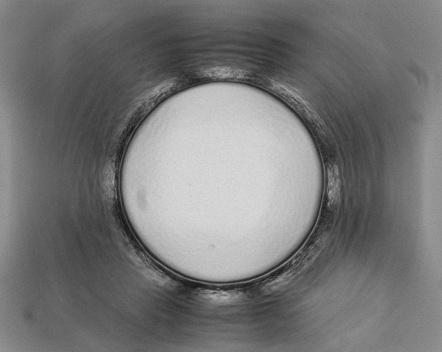 X0000113040453200909241438