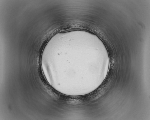 X0000113040454200909241438