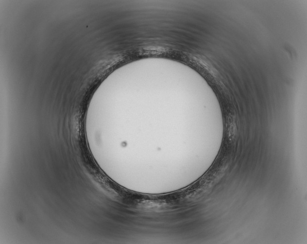 X0000113040455200909241438