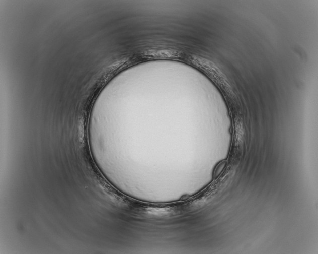 X0000113040457200909241438