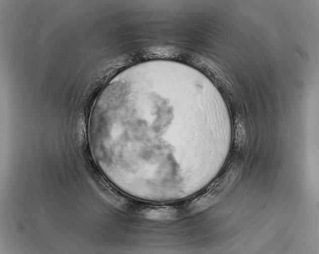 X0000113040459200909241438
