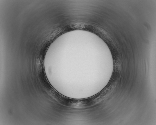 X0000113040460200909241438