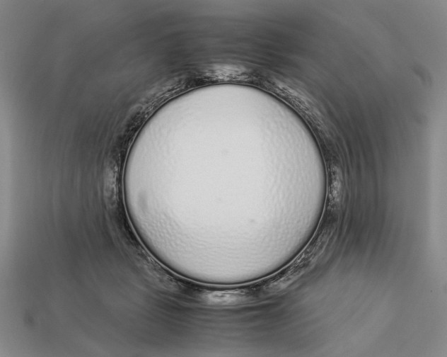X0000113040461200909241438