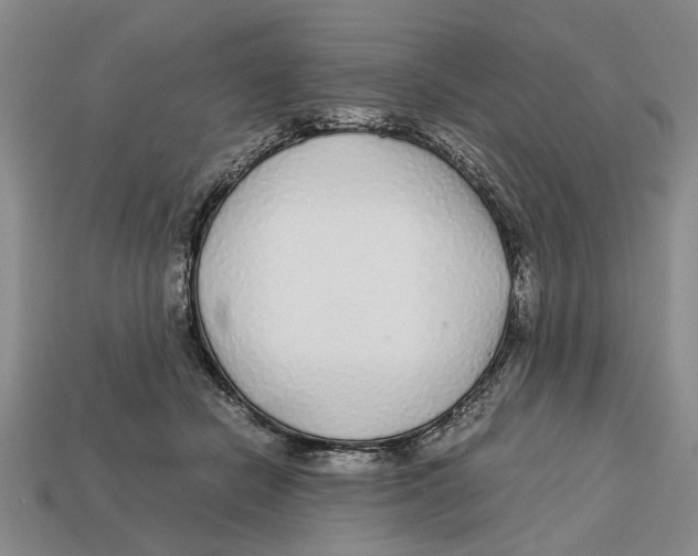 X0000113040462200909241438