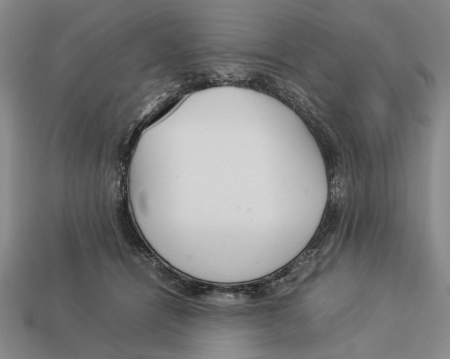 X0000113040464200909241438