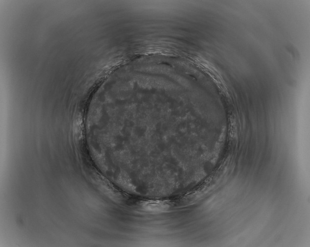 X0000113040465200909241438