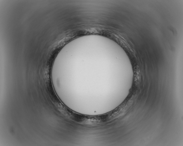 X0000113040466200909241438