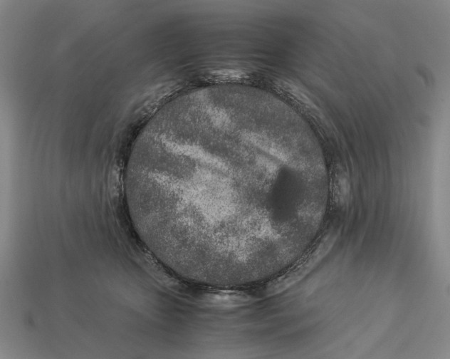 X0000113040467200909241438