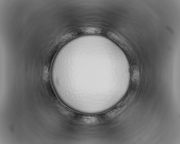 X0000113040469200909241438