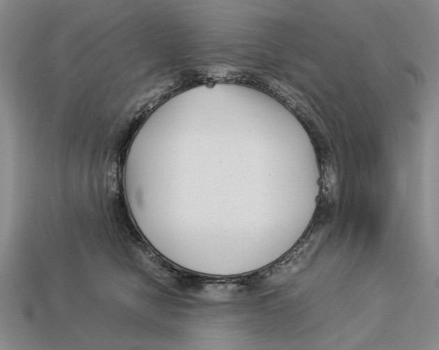 X0000113040470200909241438