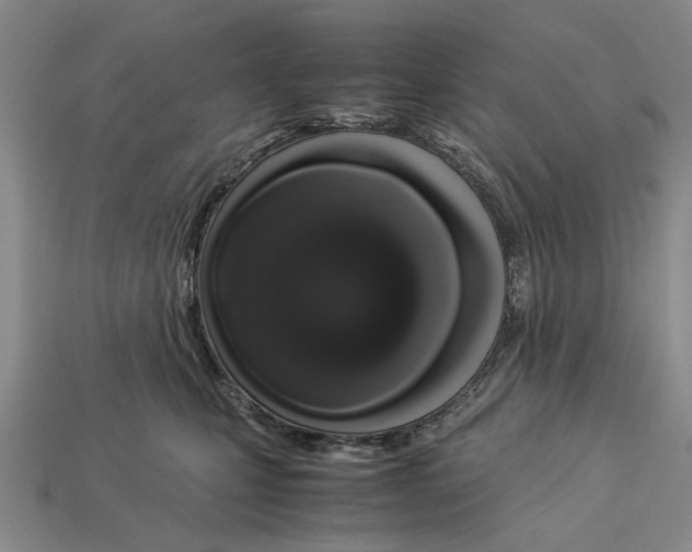 X0000113040471200909241438