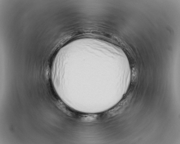 X0000113040474200909241438