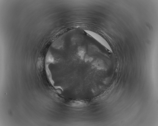 X0000113040475200909241438