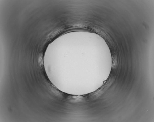 X0000113040478200909241438