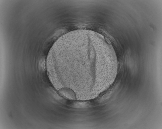 X0000113040479200909241438