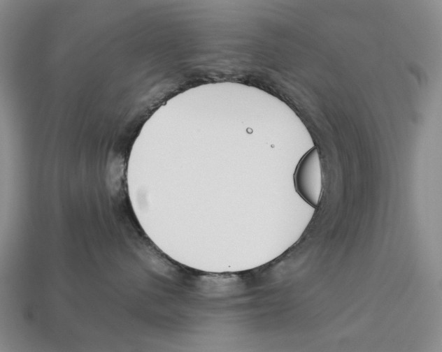 X0000113040480200909241438