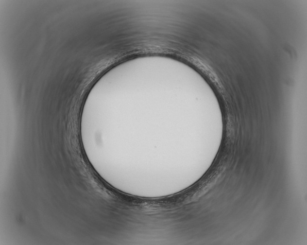 X0000113040481200909241438