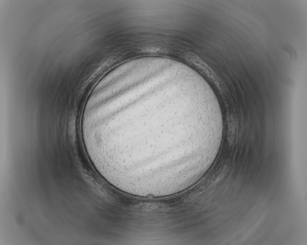 X0000113040482200909241438