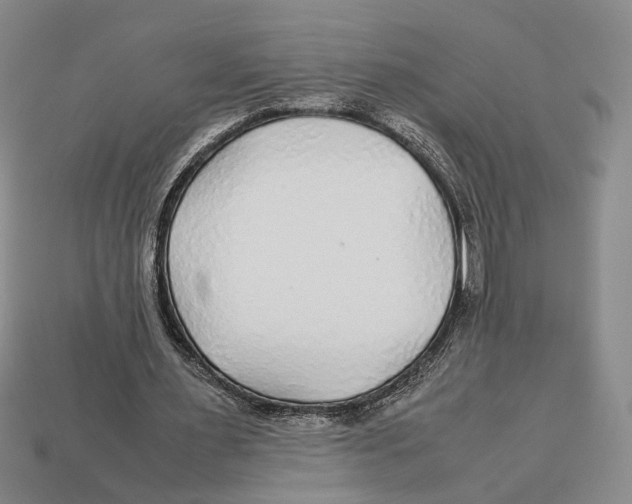 X0000113040483200909241438