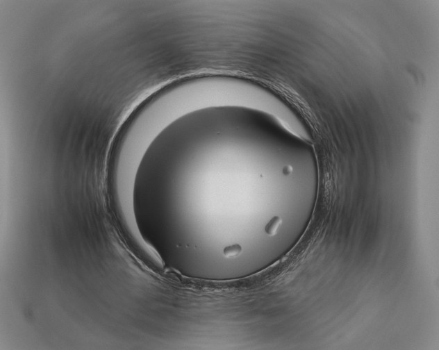X0000113040484200909241438
