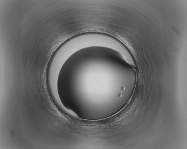 X0000113040485200909241438