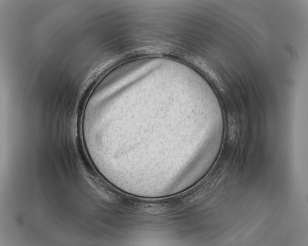 X0000113040486200909241438