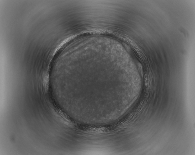X0000113040488200909241437