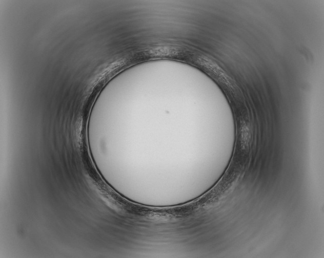 X0000113040490200909241437