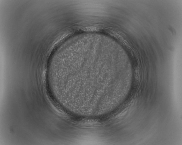 X0000113040491200909241437