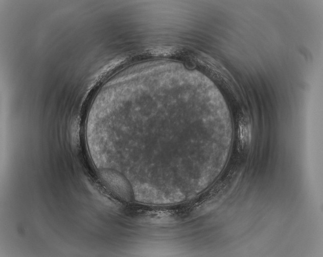 X0000113040492200909241437