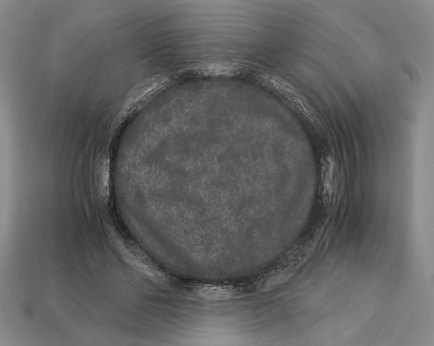 X0000113040494200909241437