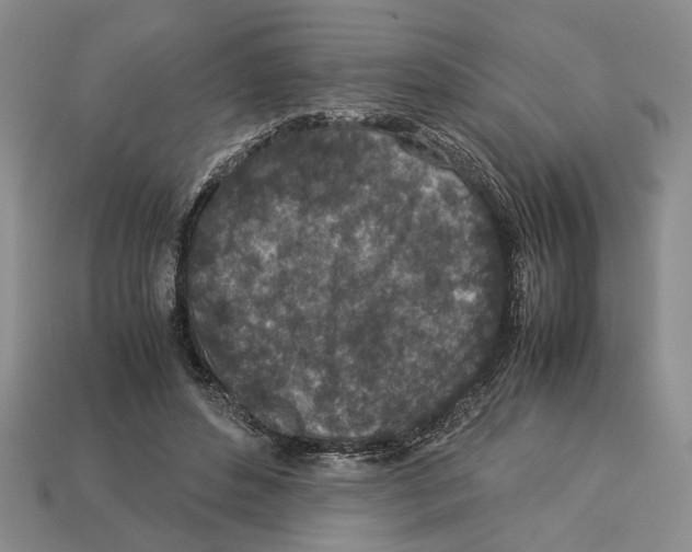 X0000113040496200909241437