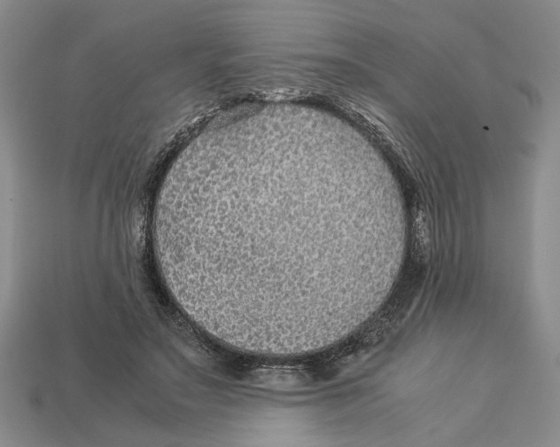 X0000113040499200909241437